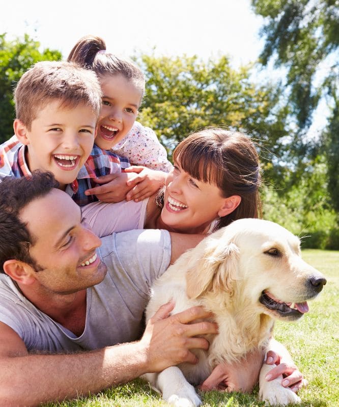 We Offer VetPay image 2