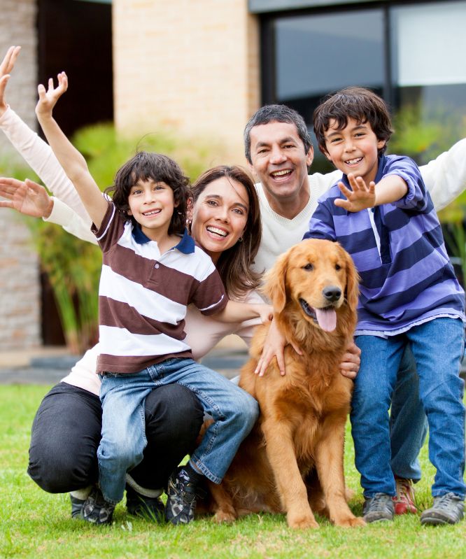 We Offer VetPay image 3